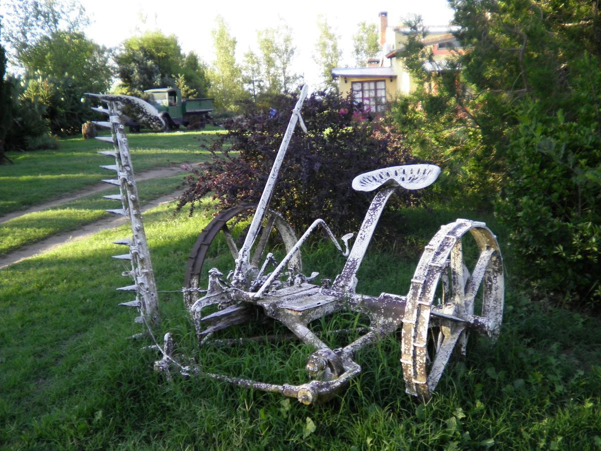 Posada De Campo Mamull Mapu Rancul Екстериор снимка